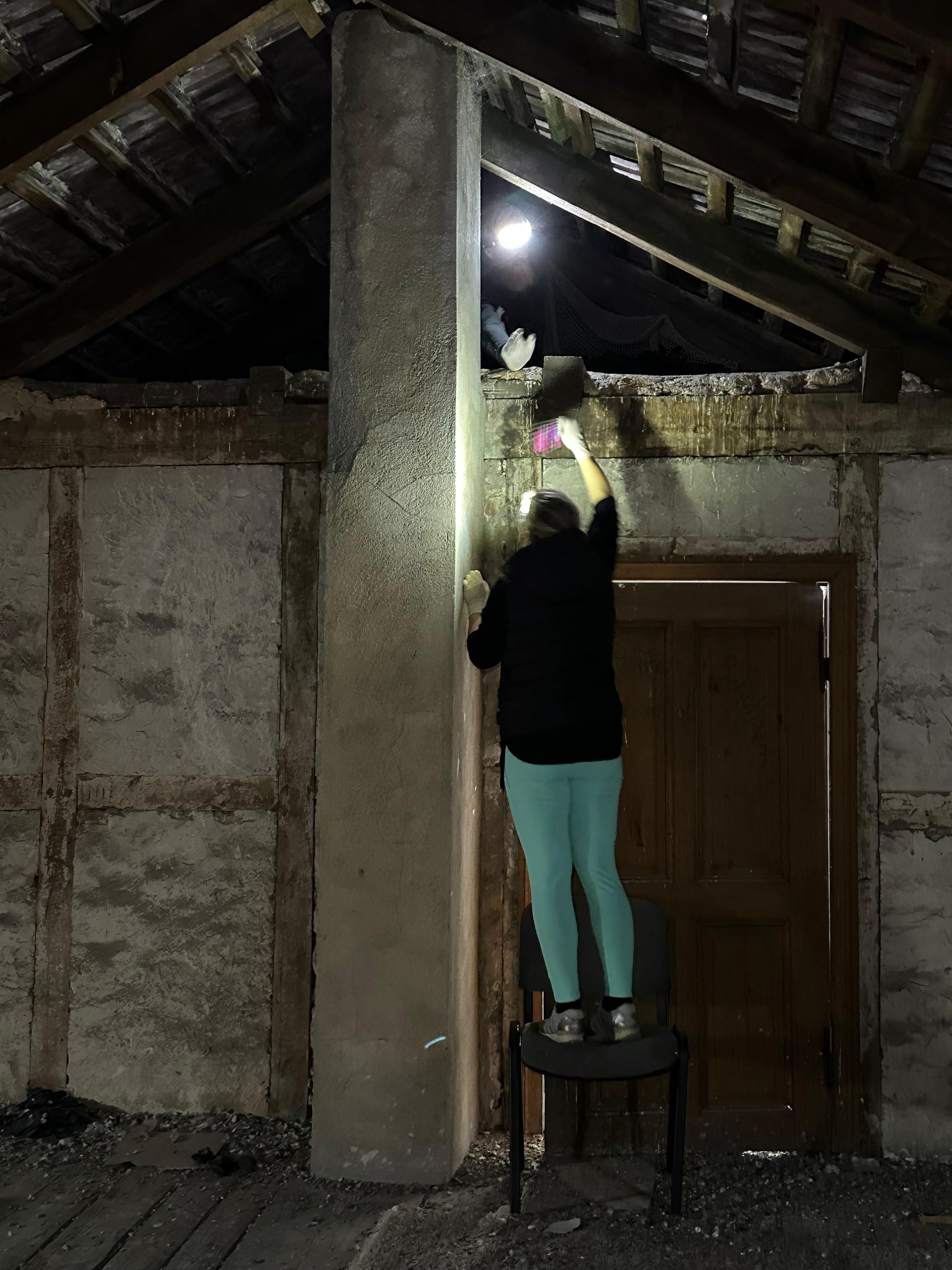 Ehrenamtliche sichert eine Taube bei einem Einsatz in einem Gebäude
